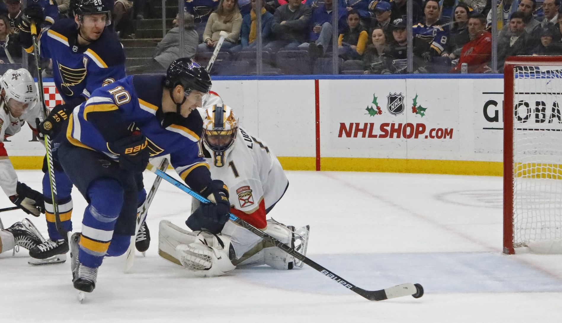 Blues take on the Florida Panthers